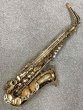 画像1: [中古]アルトサックス (1)